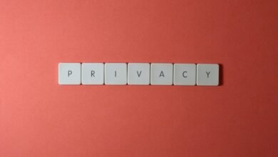 digital identity platform solution