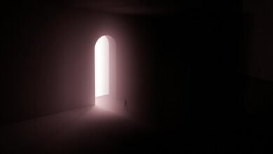 mysterious concealed digital presence