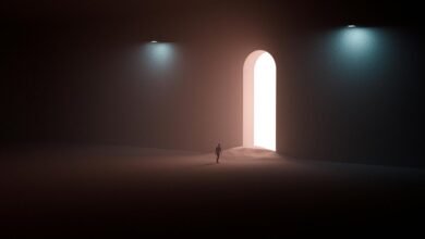 new digital entity exploration