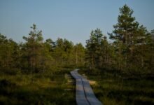 unconventional journey of exploration