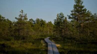 unconventional journey of exploration