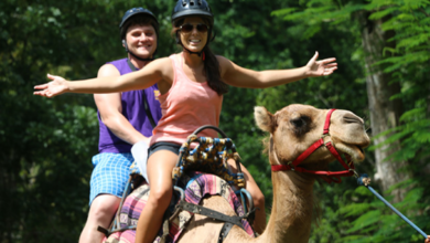 Heart of Jamaica: Unforgettable Experiences at Yaaman Adventure Park