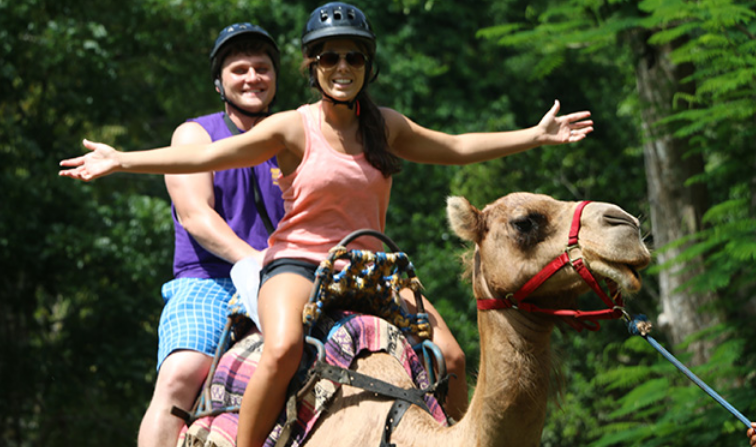 Heart of Jamaica: Unforgettable Experiences at Yaaman Adventure Park