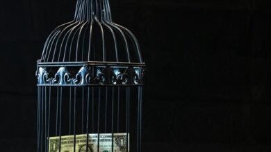 achieving financial freedom secrets
