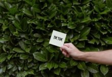 boost your social media