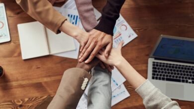 build successful online business