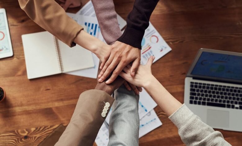 build successful online business