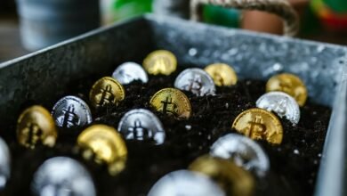 building wealth from scratch