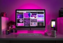 stunning online portfolio creation