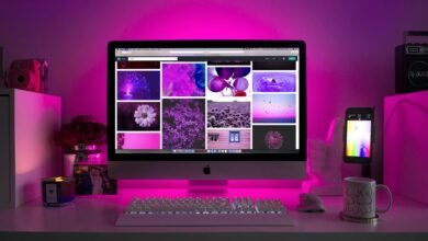 stunning online portfolio creation
