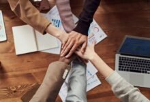 successful habits and principles