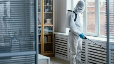 Protect Your Home & Business with Diamond Pest Control Services