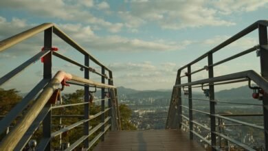 business overview and offerings