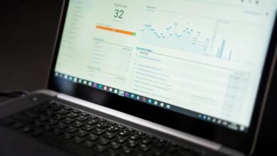 freusseporn s online visibility analysis