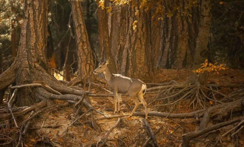 correlation trend validation log