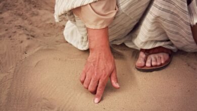 quantitative interaction trace summary