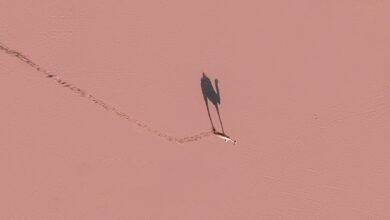 tracking analytical correlations dossier