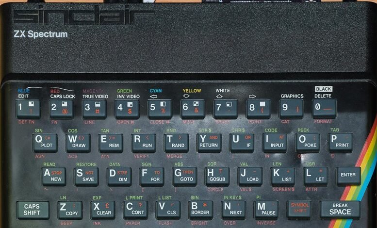 audience growth strategy online