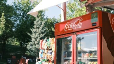 brand visibility and discovery