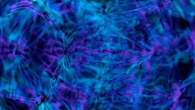 digital flux seo optimization