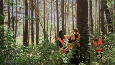 lift visibility raise search