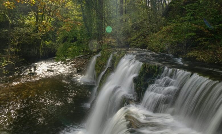 market exposure growth strategy