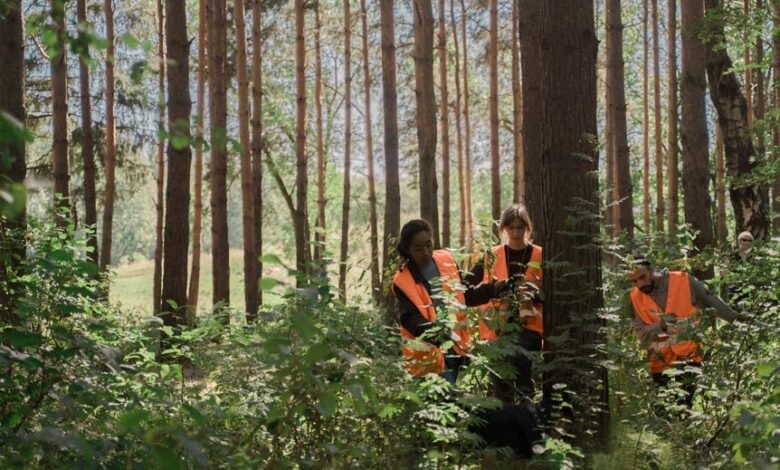 search visibility momentum flow