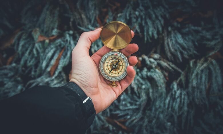 traffic navigation service number