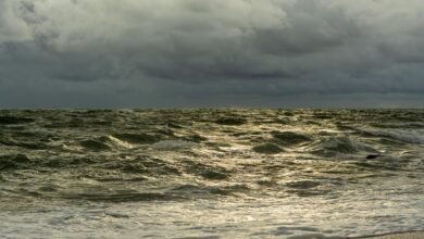 traffic wave online surge