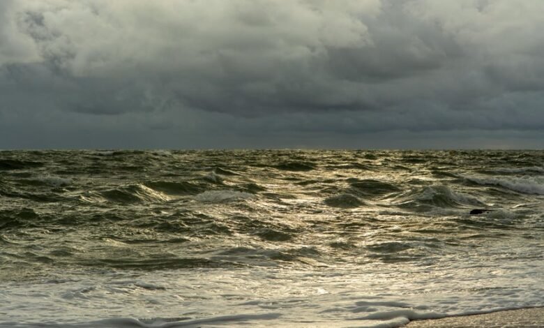 traffic wave online surge